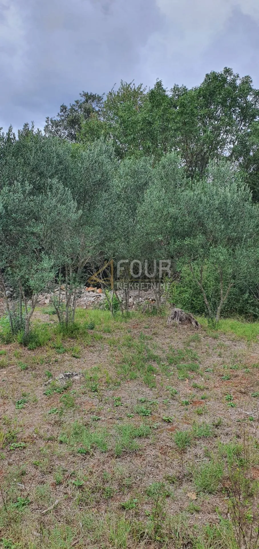 istra, rovinj, poljoprivredno zemljište 1.574m2 - slika 4