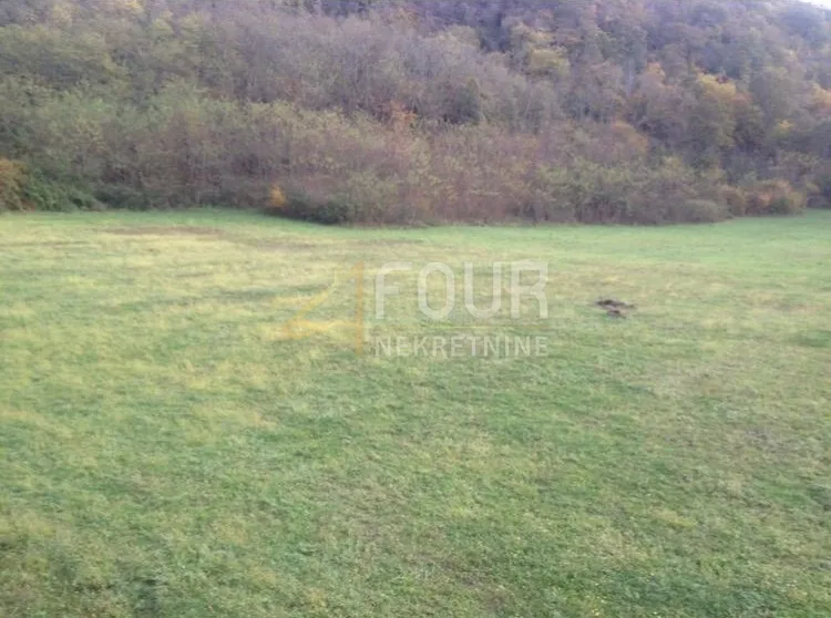 Istra, Kanfanar, poljoprivredno zemljište 13.270m2