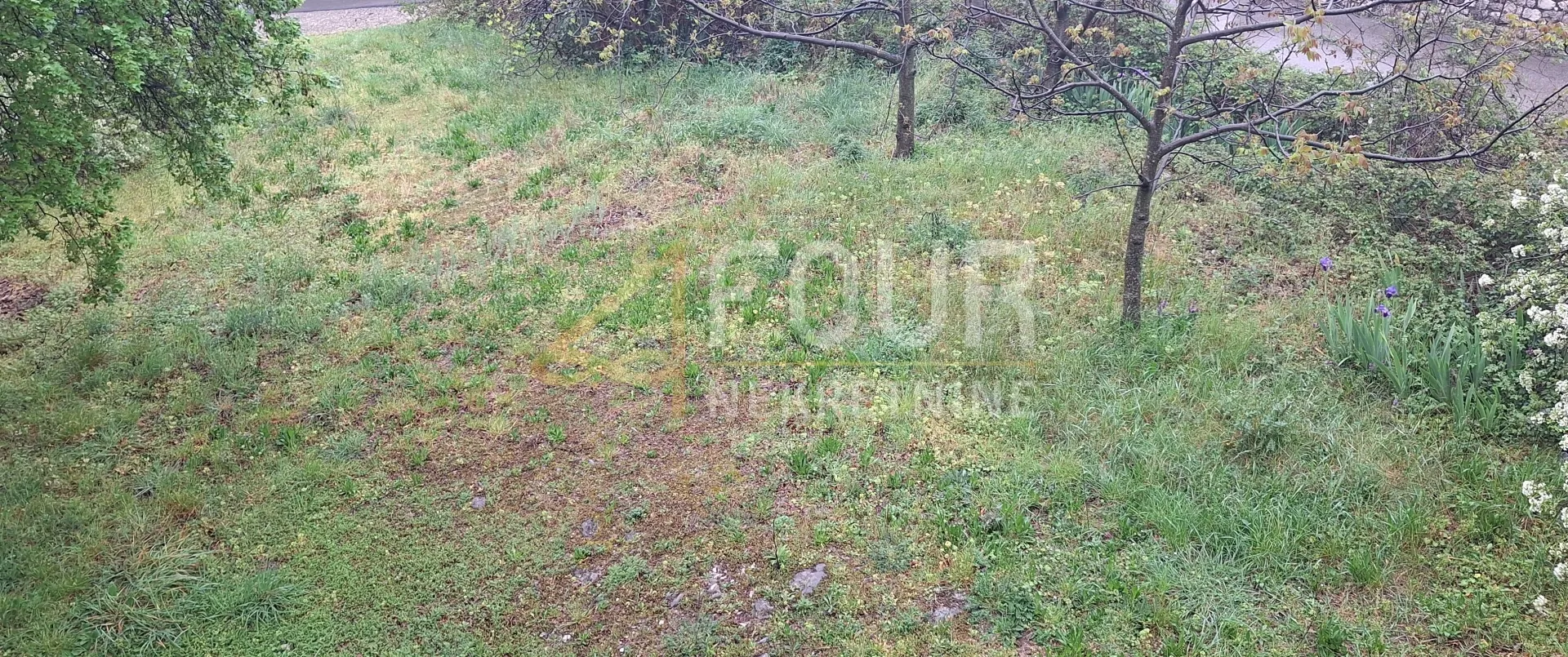 rijeka, donja drenova, 220m2, samostojeća kuća s okućnicom - slika 3