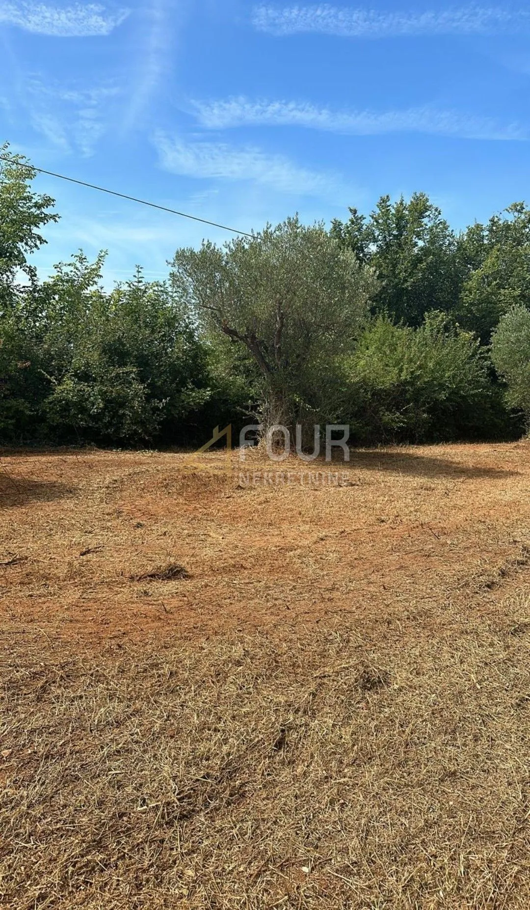 Istra, Bale, poljoprivredno zamljište, 3.060m2