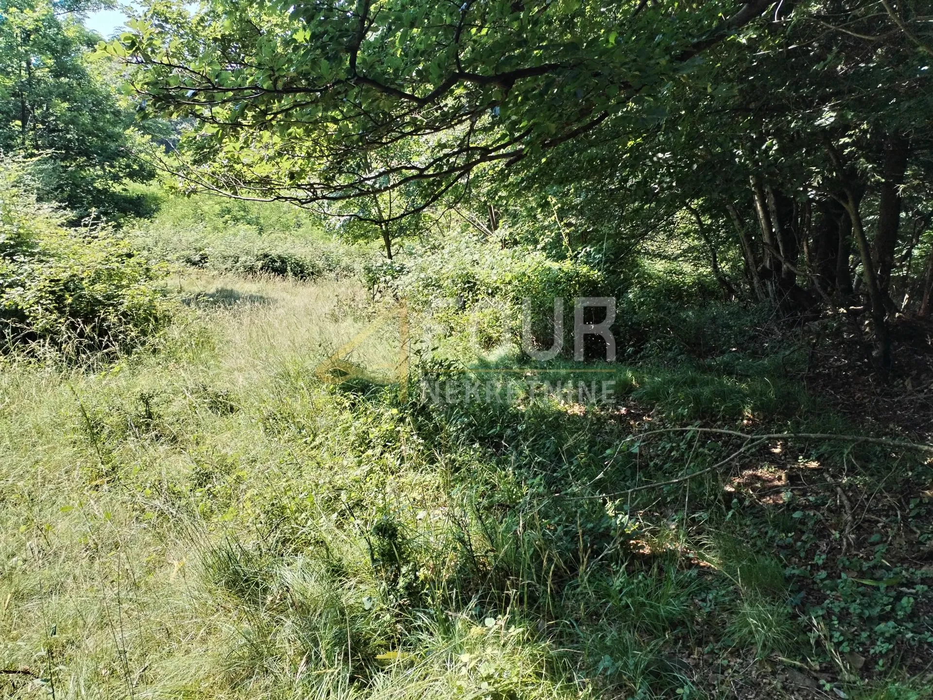 klana, studena, poljoprivredno zemljište 426m2 - slika 2