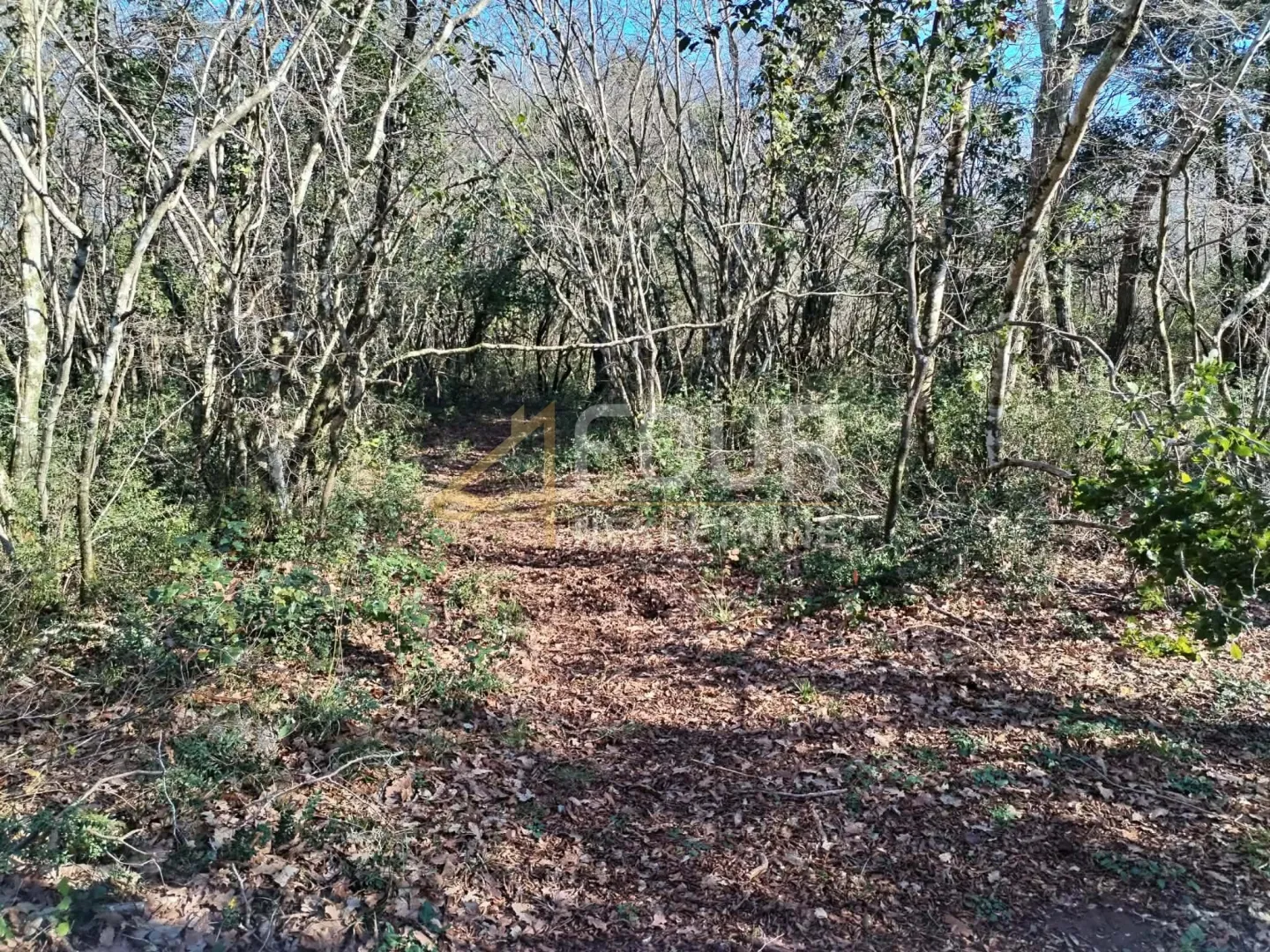 istra, valtura, poljoprivredno zemljište 3.376m2 - slika 2