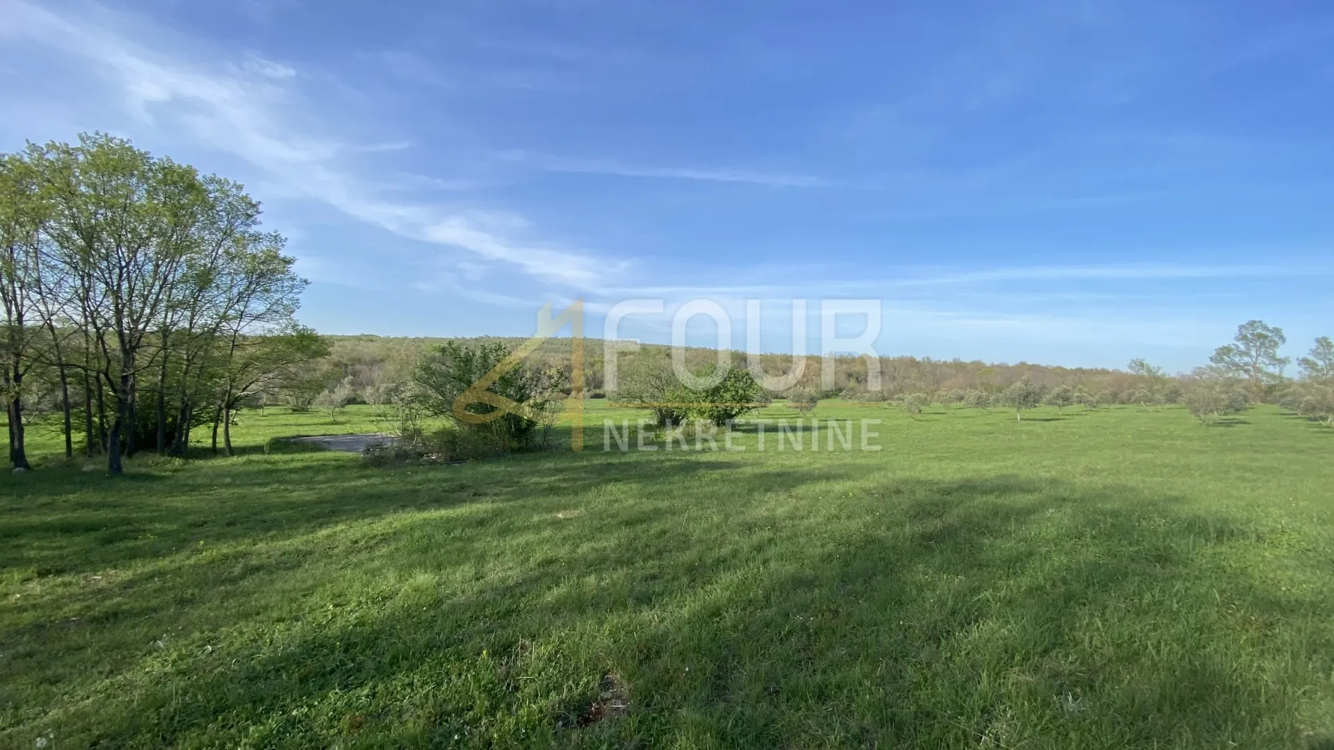 istra, kanfanar, poljoprivredno zemljište, 13.301m2 - slika 2