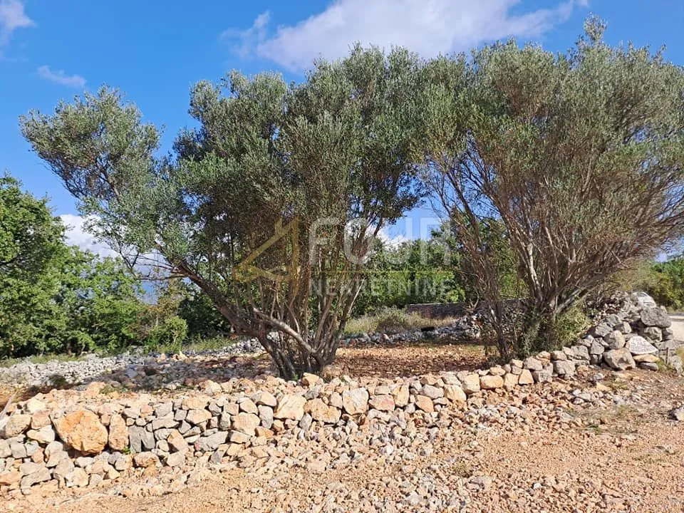 otok krk, šilo, poljoprivredno zemljište 217m2 - slika 9