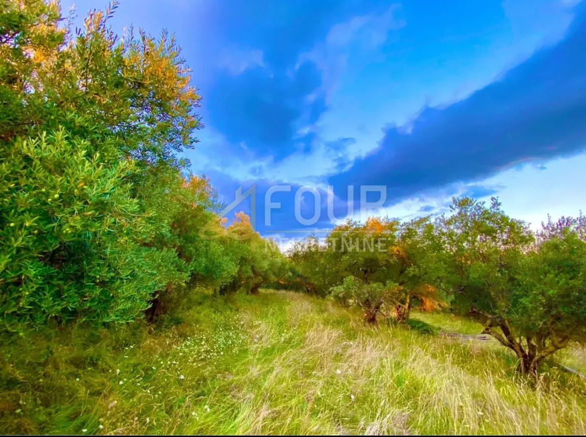 istra, cerovlje, zemljište 2.257m2 sa 6 ucrtanih ruševina - slika 2