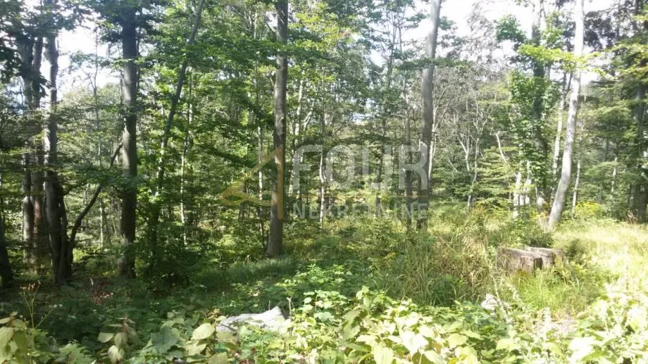 Škrljevo, poljoprivredno zemljište 29.685m2 - Škrljevo, Bakar