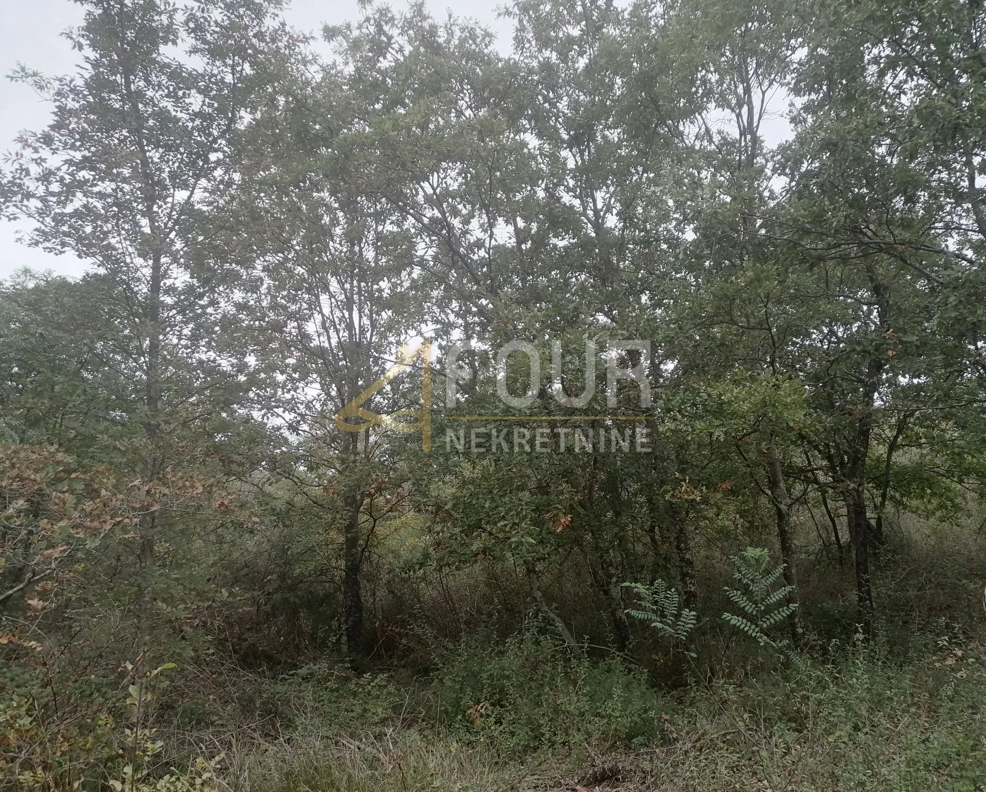 istra, višnjan - okolica, poljoprivredno zemljište 44.600m2 - slika 2