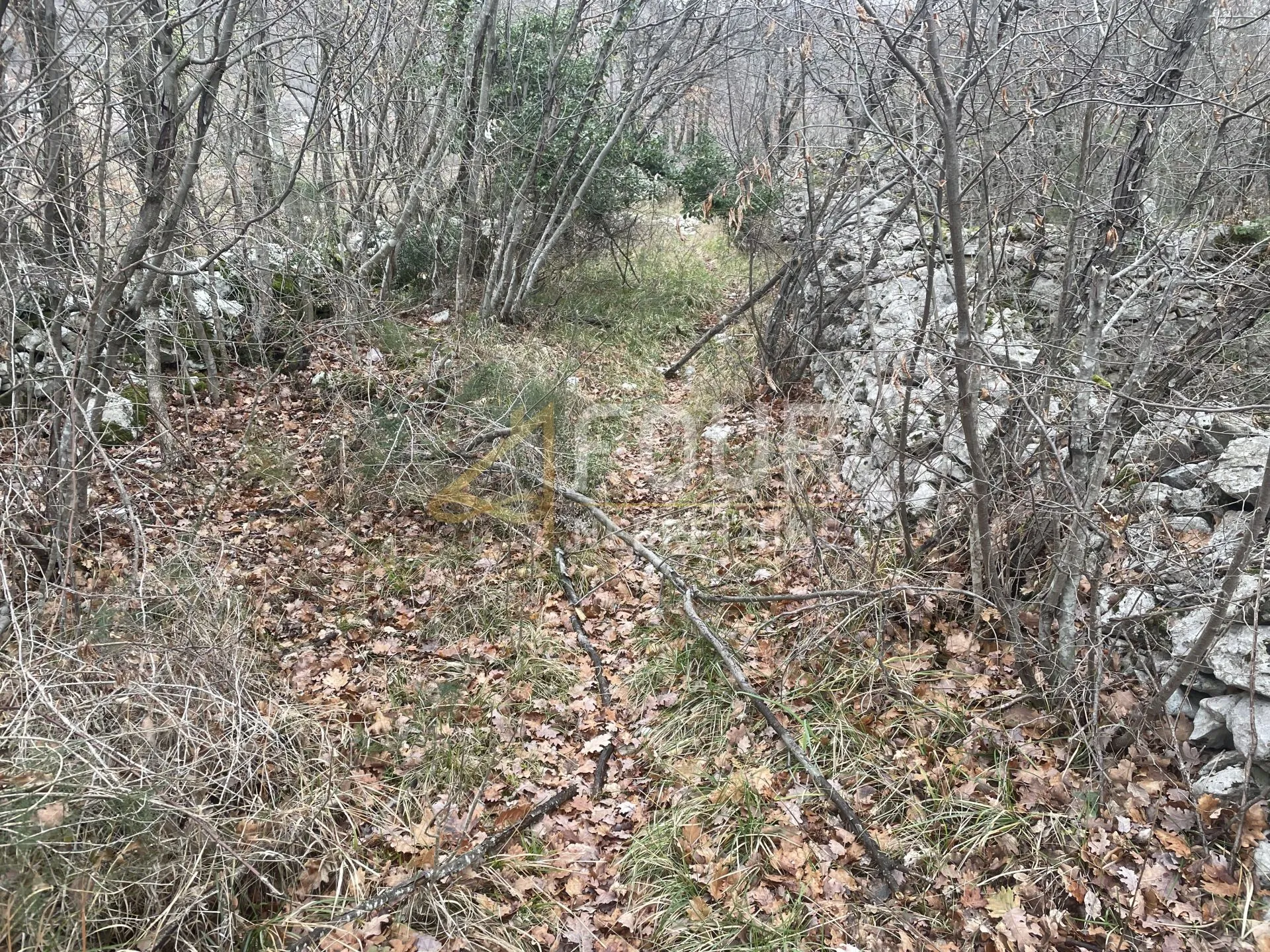 brseč, građevinsko zemljište od 2.327m2 - slika 12