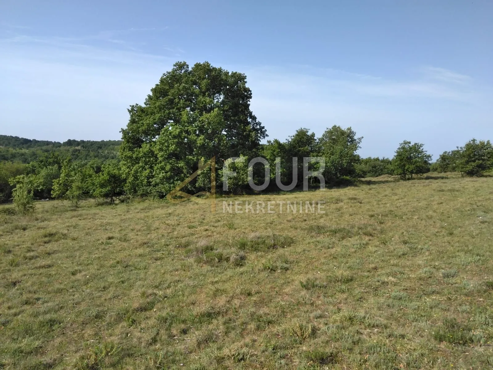 istra, višnjan - okolica, poljoprivredno zemljište 38.900m2 - slika 5