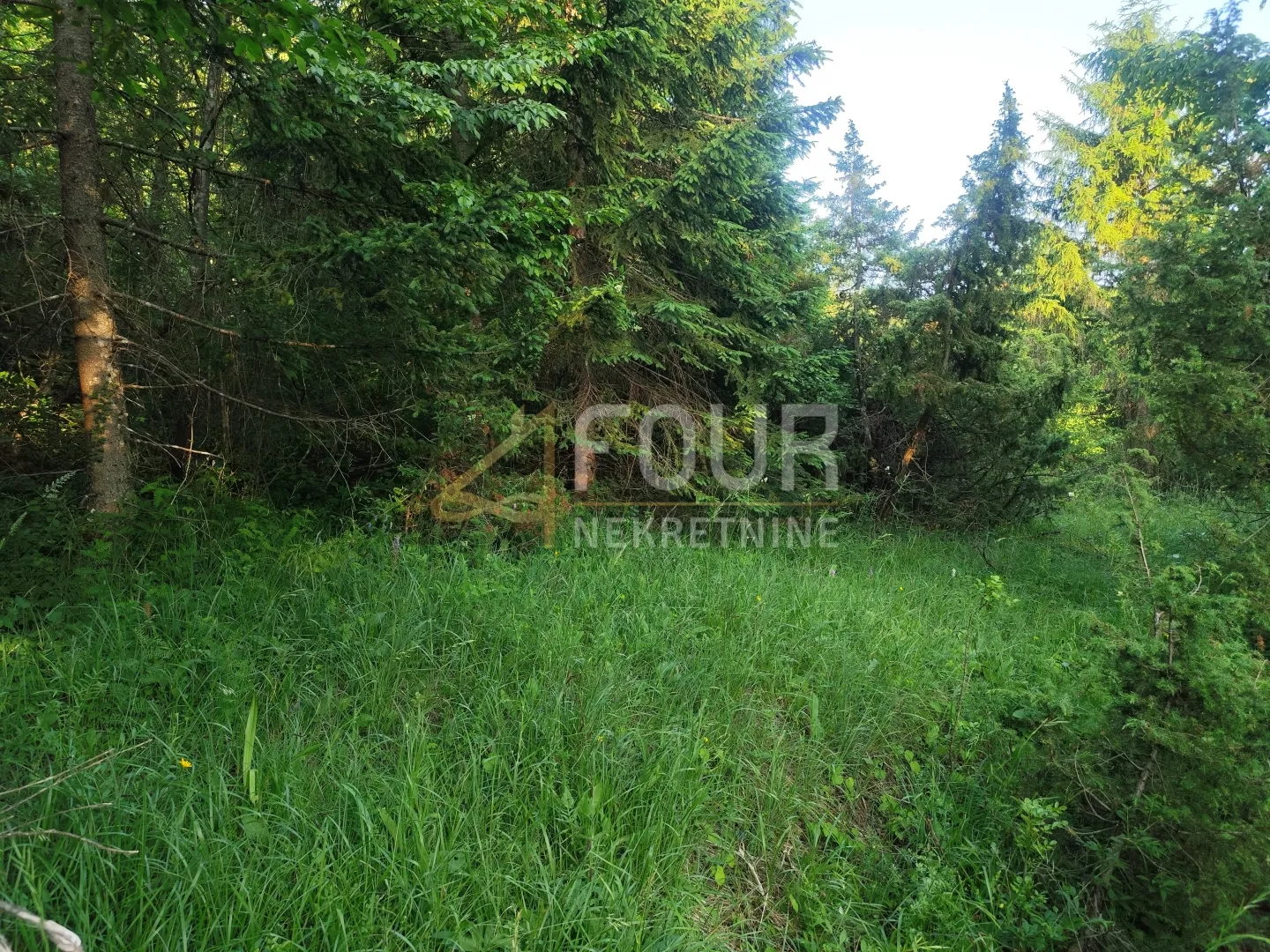 Gorski kotar, Brod Moravice - okolica, poljoprivredno zemljište 2.201m2