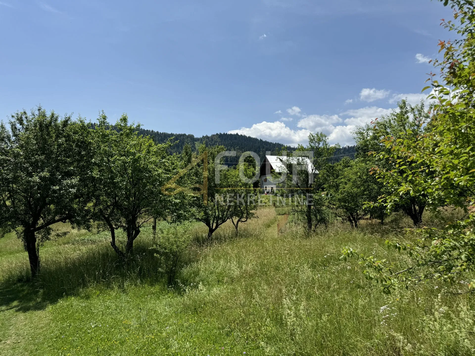 gorski kotar, čabar - okolica, samostojeća kuća + veliko zemljište - slika 4