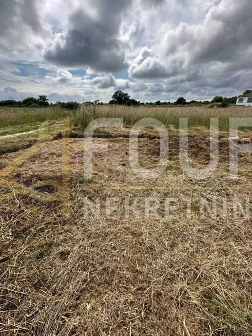 istra, šišan, poljoprivredno zemljište 500m2 - slika 2