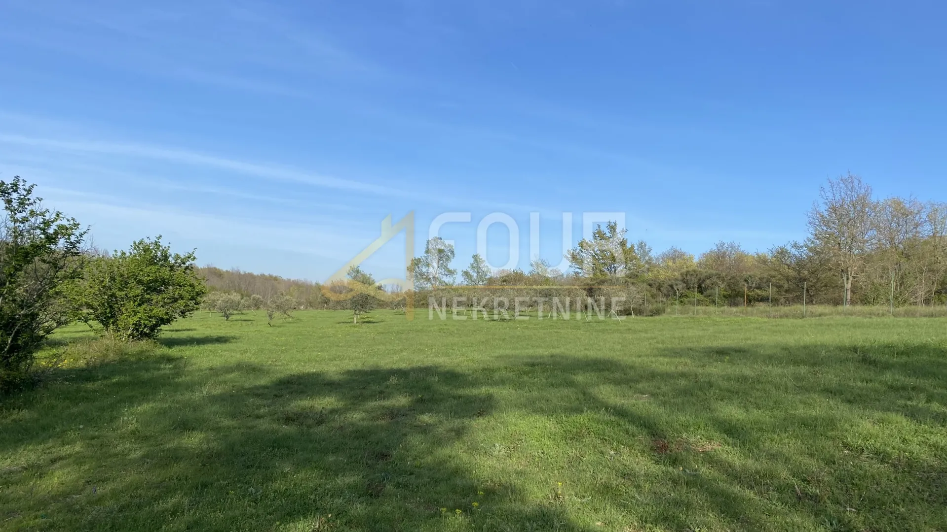 istra, kanfanar, poljoprivredno zemljište, 13.301m2 - slika 9