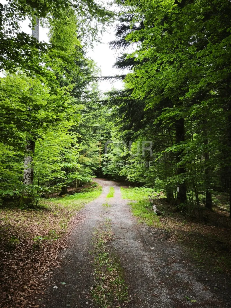 Gorski kotar, Vrbovsko - okolica, zemljište 17.835m2