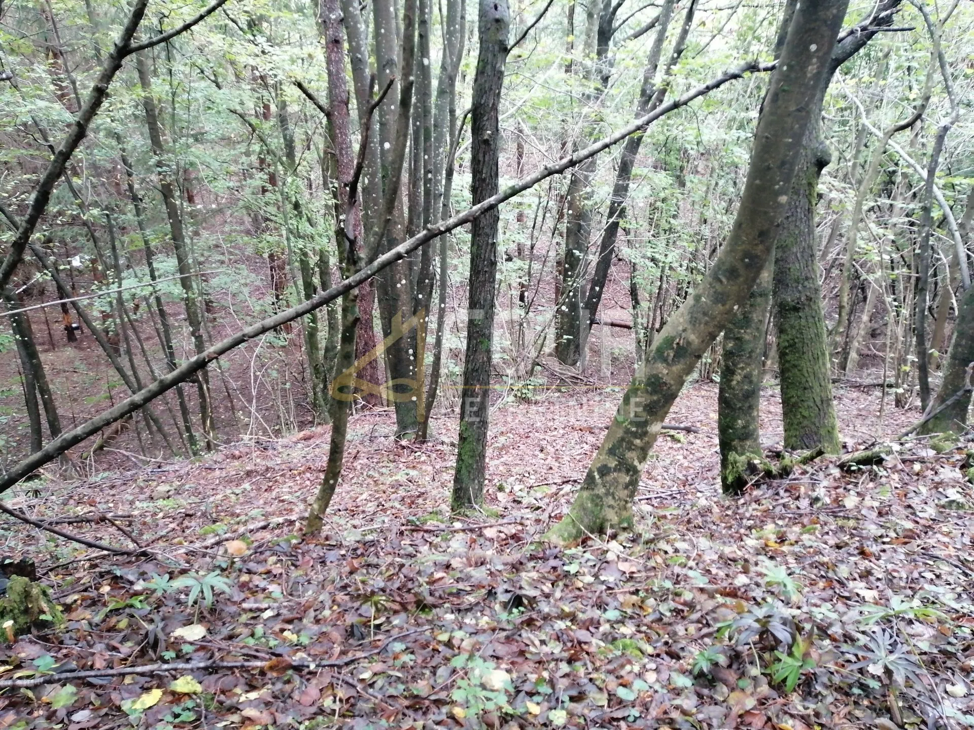 klana, građevinsko zemljište 8.493m2 - slika 6
