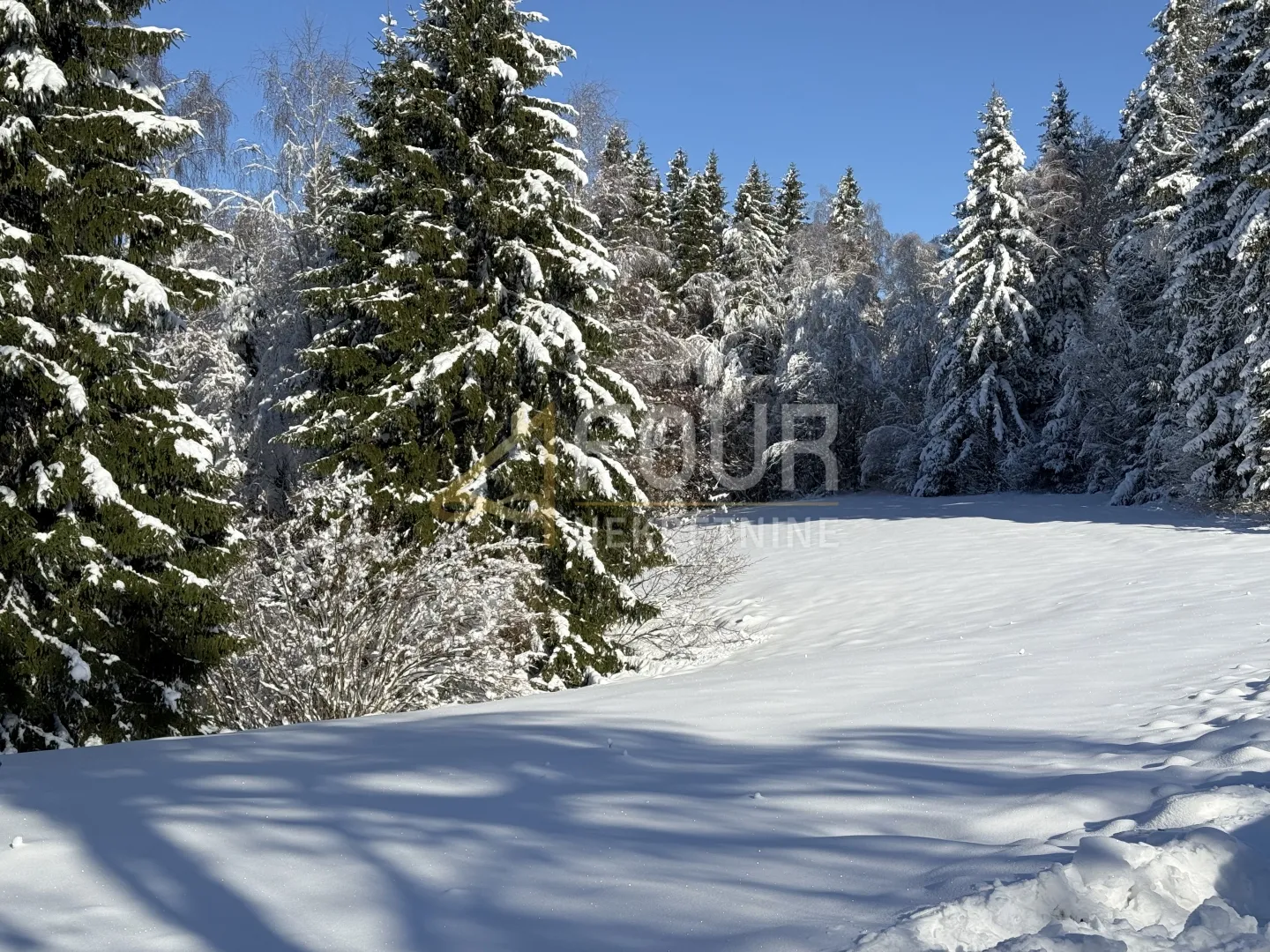 Gorski kotar, Ravna Gora - okolica, 3.115m2, građevinsko zemljište
