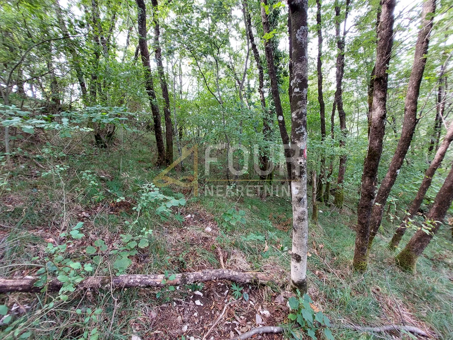 Veprinac, poljoprivredno zemljište 4013m2 - Veprinac, Opatija