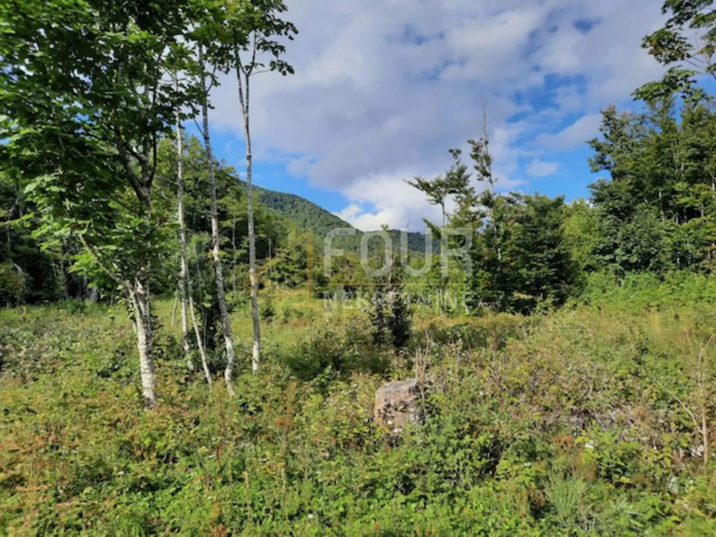 gorski kotar, lič, poljoprivredno zemljište, 9.794m2 - slika 2