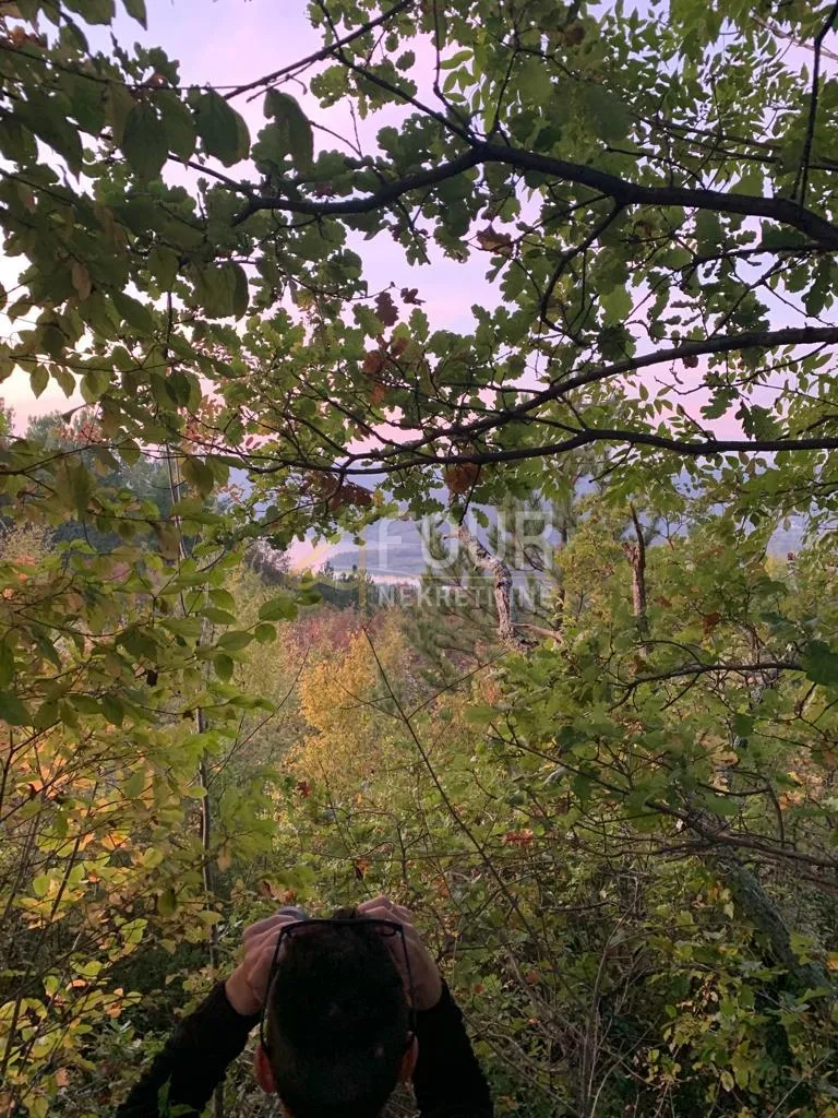 istra, pazin - okolica, poljoprivredno zemljište, 45.000m2 - slika 2