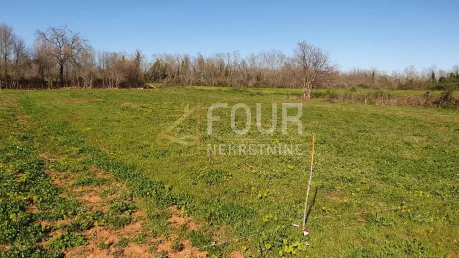 Istra, Vodnjan, poljoprivredno zemljište 391m2
