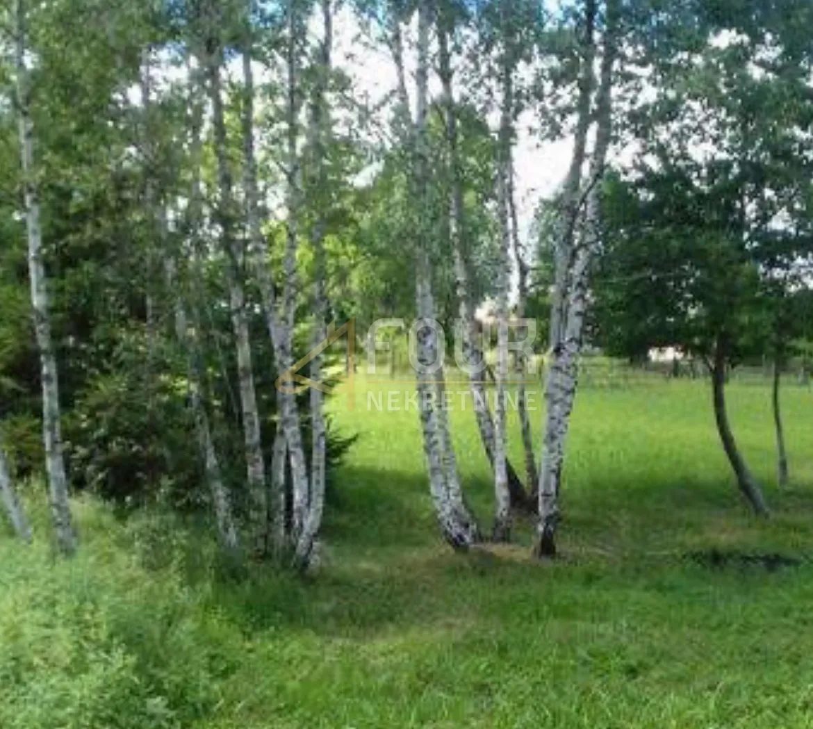 gorski kotar, kupjak, zemljište 6.111m2 - građevinsko + poljoprivredno - slika 2