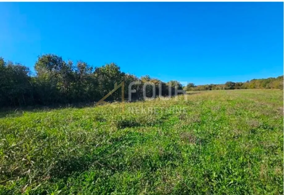 istra, valtura, poljoprivredno zemljište, 39.659m2 - slika 3