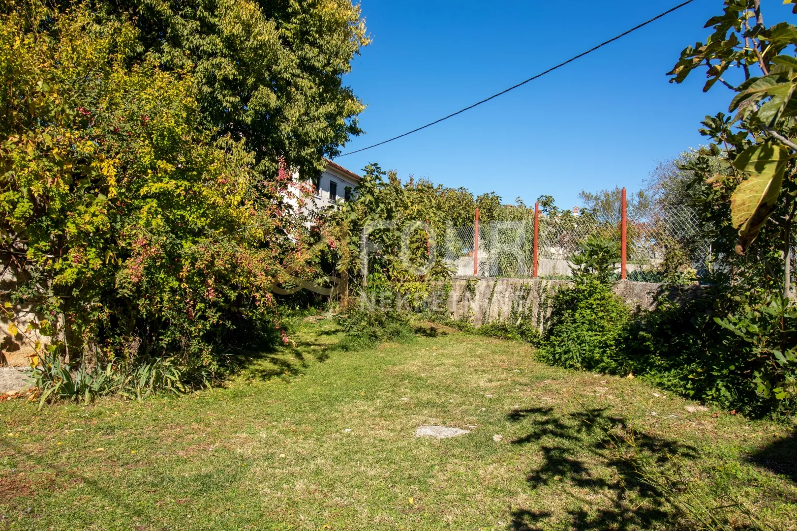 istra, svetvinčenat, imanje s lijepom istarskom kućom i pomoćnim objektima - slika 36