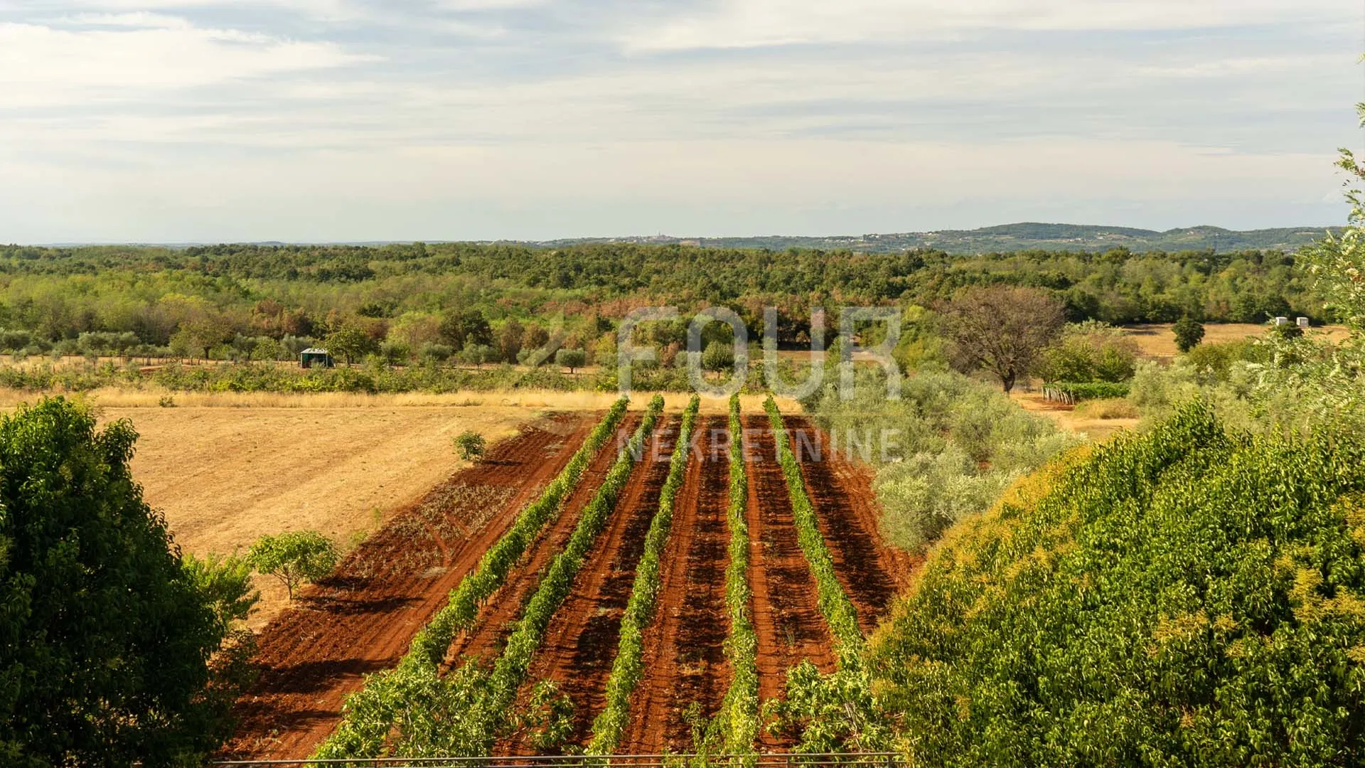 istra, kaštelir, prekrasna kamena vila s bazenom - slika 16