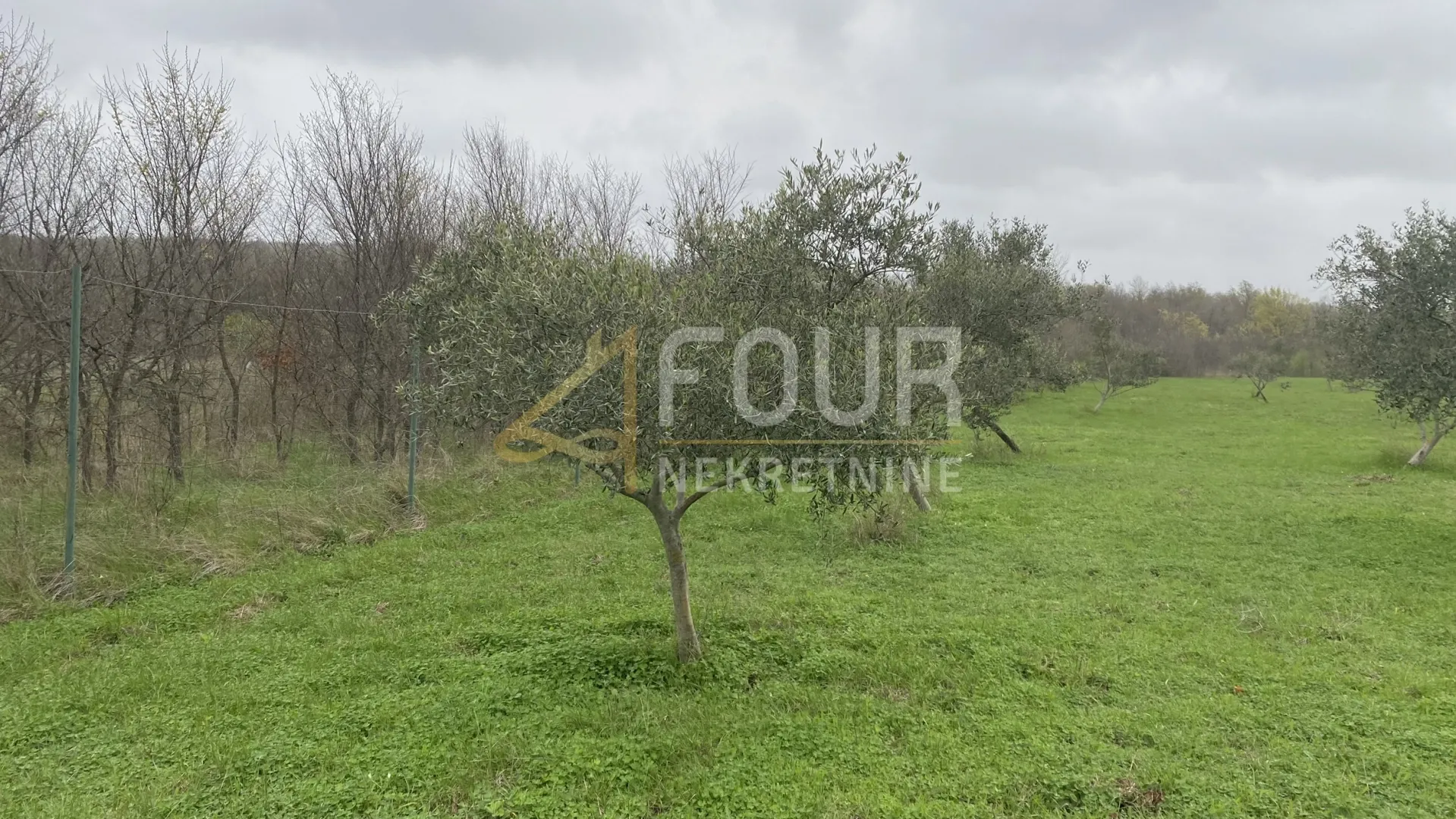 istra, kanfanar, poljoprivredno zemljište, 13.301m2 - slika 4