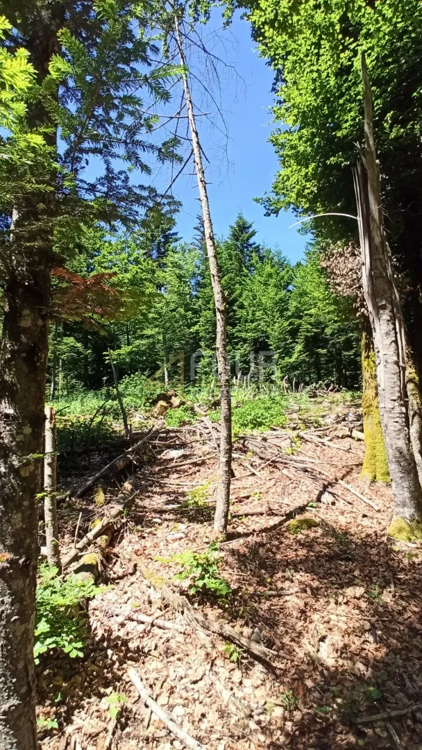 gorski kotar, vrbovsko - okolica, zemljište 17.835m2 - slika 13