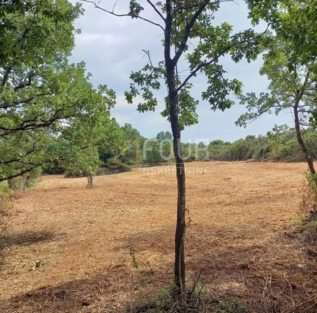 Istra, Rovinj - okolica, poljoprivredno zemljište, 5.928m2 - Rovinjsko Selo, Rovinj
