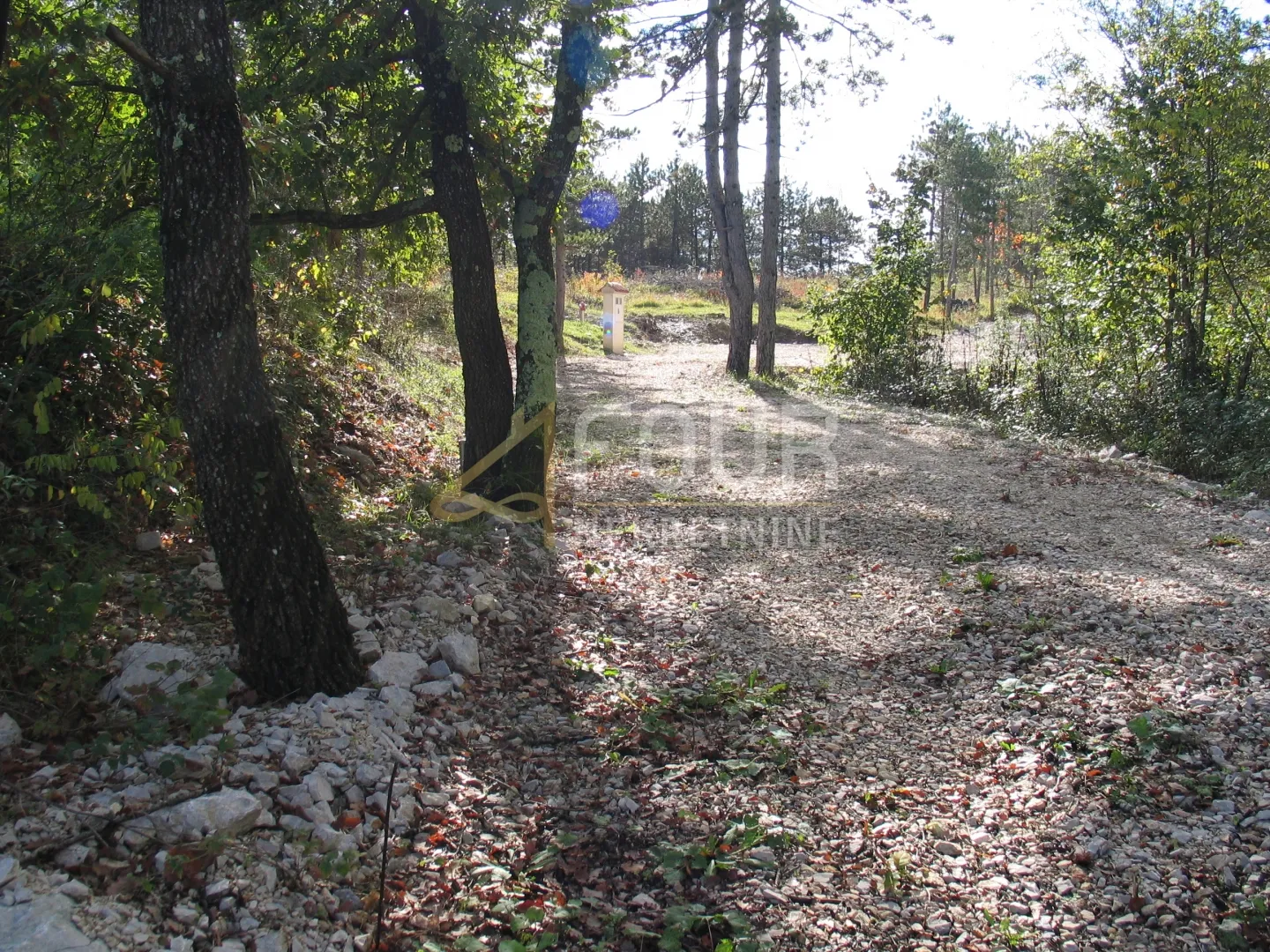 istra, gračišće, lindar, građevinsko/poljoprivredno zemljište, 39.091m2 - slika 3