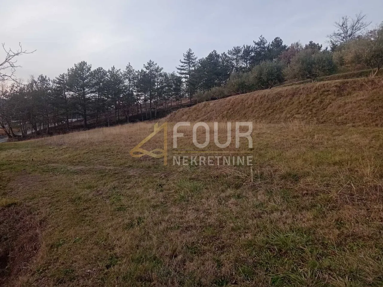 istra, buzet - okolica, građevinsko zemljište 2.744m2 - slika 9