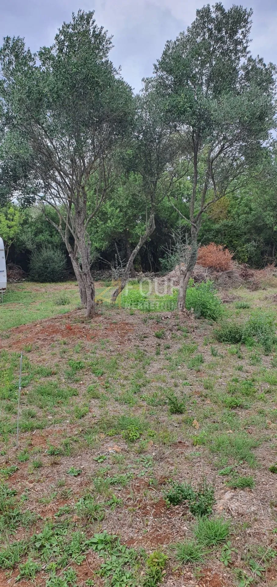 Istra, Rovinj, poljoprivredno zemljište 1.574m2
