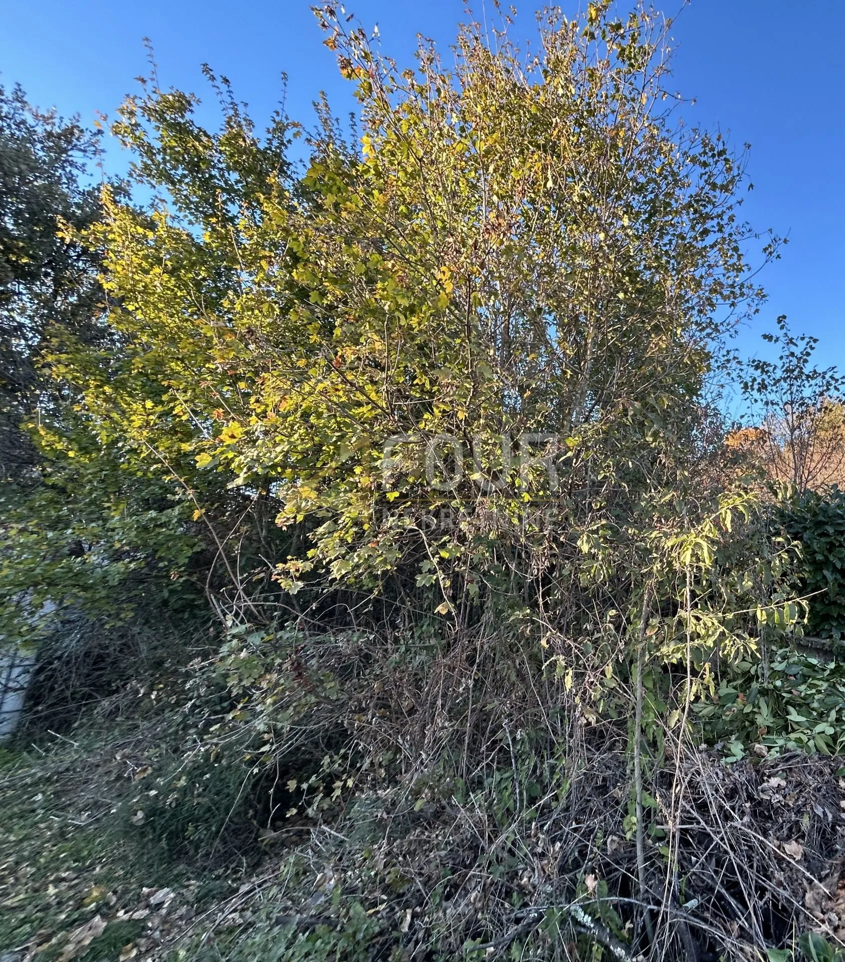 Kastav, građevinsko zemljište, 2.911m2