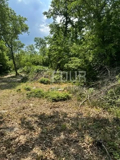 istra, poreč, poljoprivredno zemljište 4.756m2 - slika 4