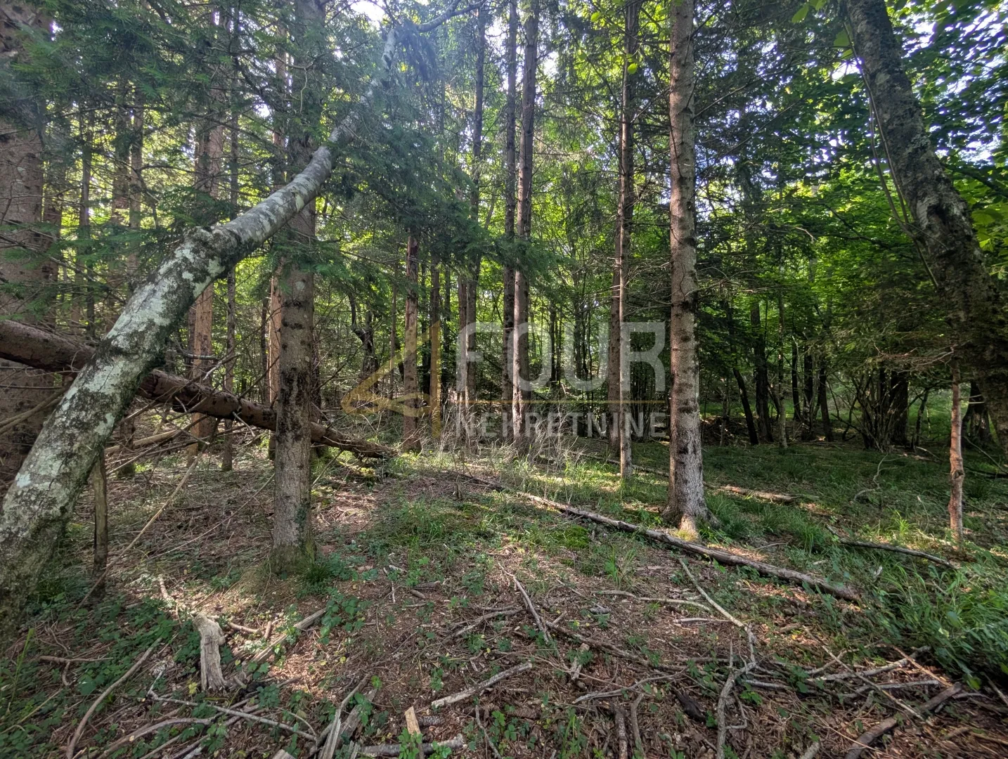 klana, poljoprivredno zemljište 1.908m2 - slika 4