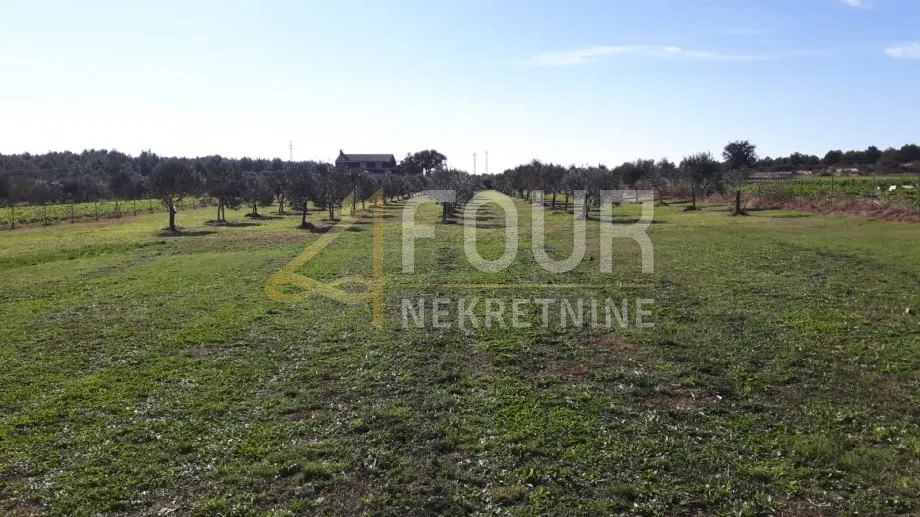 istra, medulin, poljoprivredno zemljište 9.327m2 - slika 3