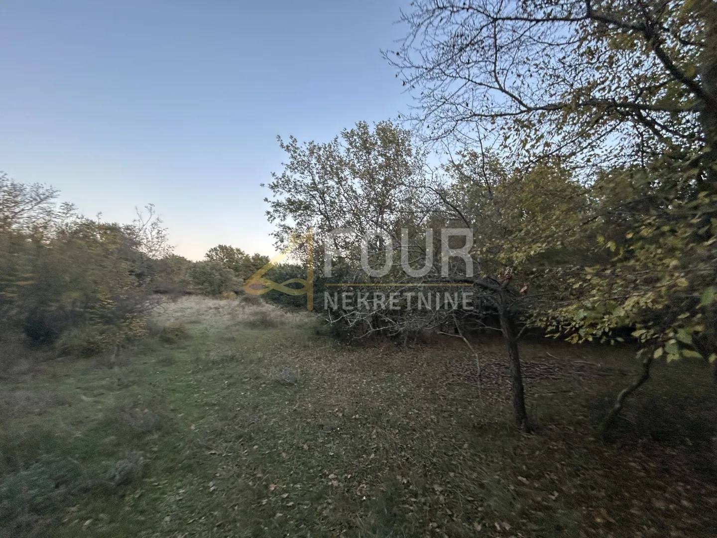 istra, pula - veli vrh, poljoprivredno zemljište 4.983m2 - slika 4