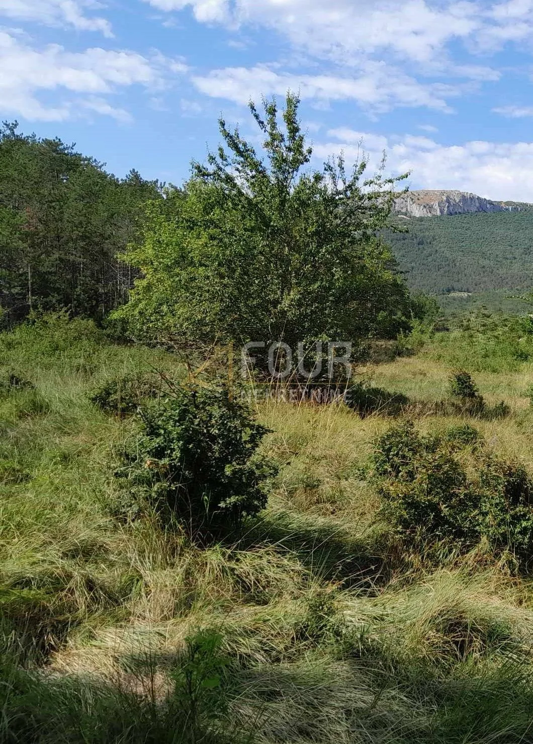 istra, buzet, građevinsko zemljište, 1.601m2 - slika 2