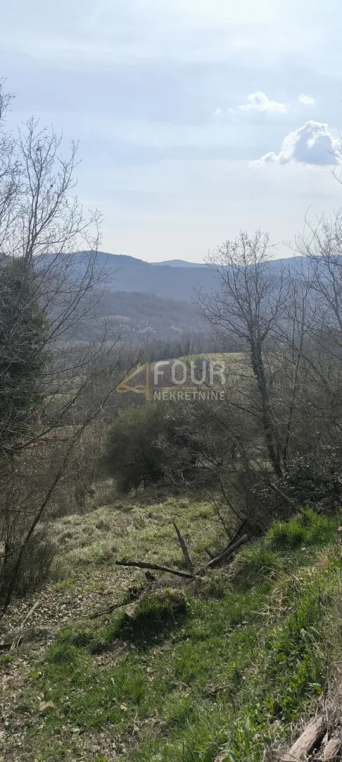 Istra, Buzet - okolica, poljoprivredno zemljište - Juradi, Buzet