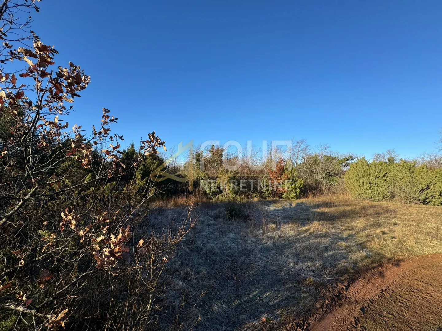 istra, vodnjan, poljoprivredno zemljište, 4.263m2 - slika 5