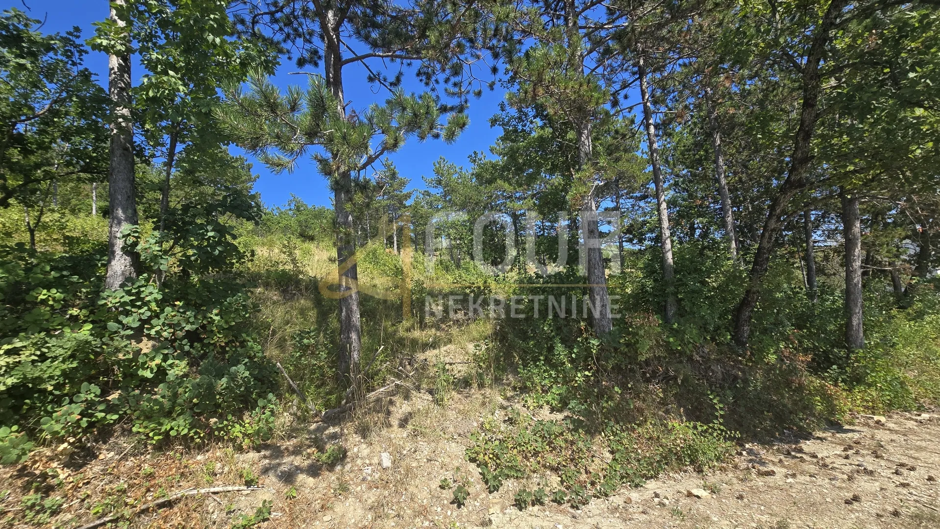 istra, buzet, 2.068m2 zemljište s projektom za modernu vilu s bazenom - slika 8