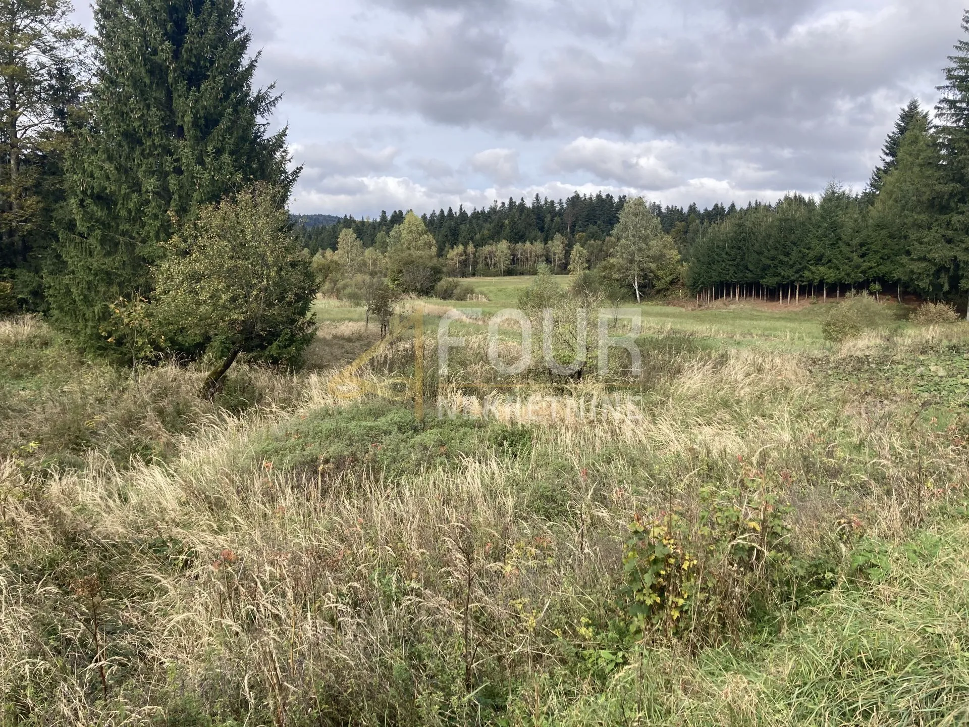 gorski kotar, delnice, zemljište 7.295m2 - dio građevinski - slika 4