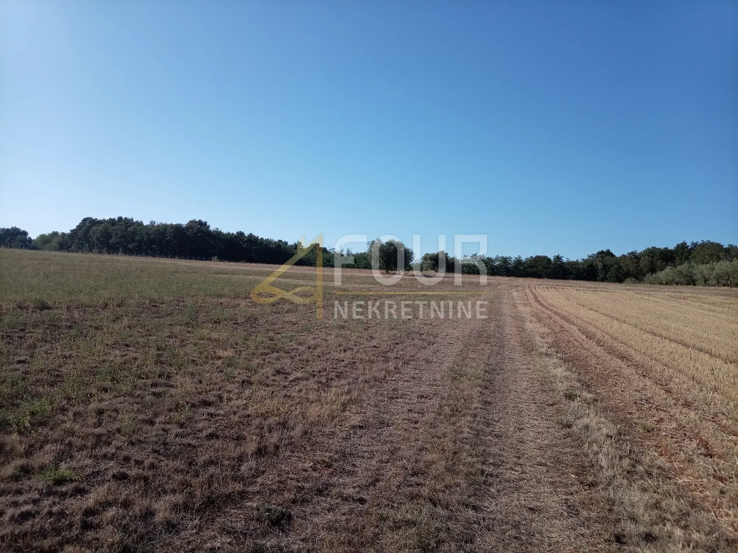 istra, umag - okolica, poljoprivredno zemljište, 12.535m2 - slika 3