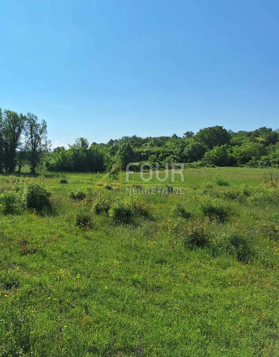 Istra, Bale, poljoprivredno zemljište 1.957m2