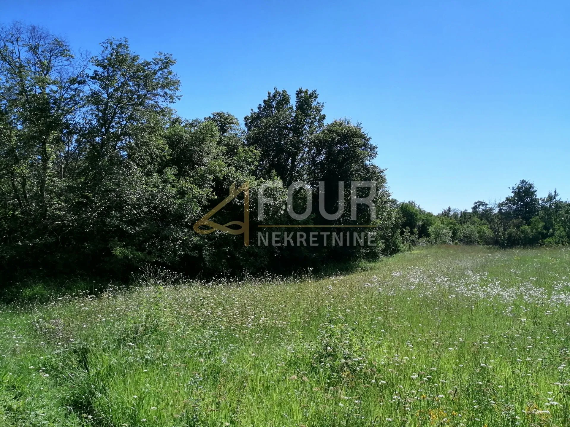 istra, sveti lovreč, poljoprivredno zemljište 1.994m2 - slika 2