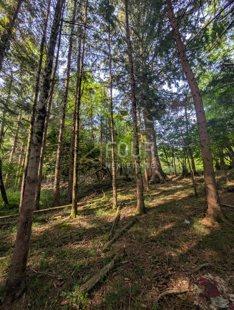 klana, poljoprivredno zemljište 1.908m2 - slika 2