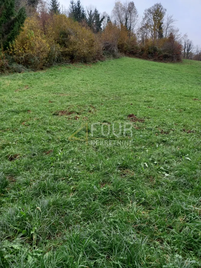 bosiljevo, zemljište površine 100.581m2, gospodarska zgrada - slika 5