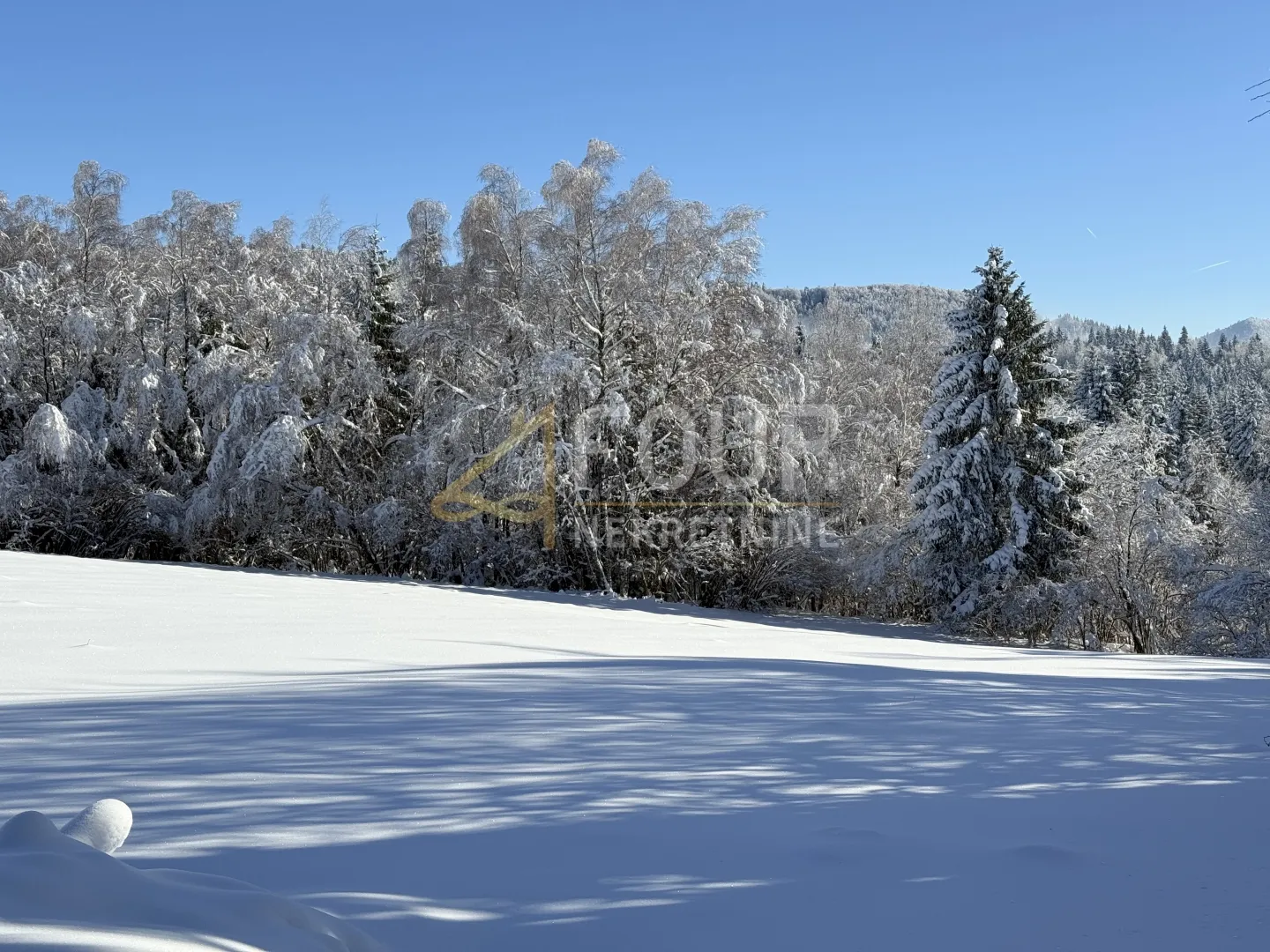 Gorski kotar, Ravna Gora - okolica, 2.659m2, građevinsko zemljište